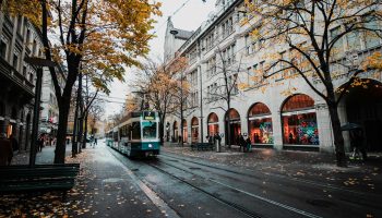 A tram travels down a leaf-strewn street in autumnal Zürich, Switzerland's urban landscape.